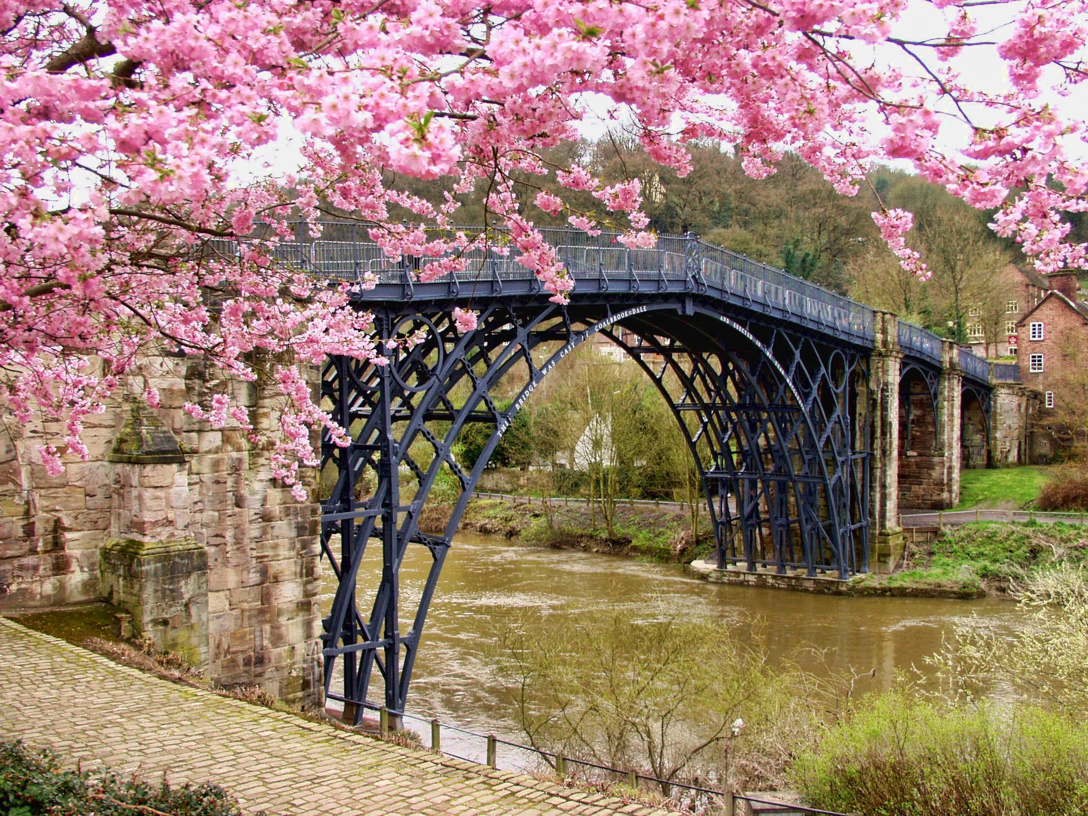 thererapy for miscarriage.  therapy for pregnancy, miscarriage, fertility issues.  Pink flowers framing bridge over river. 