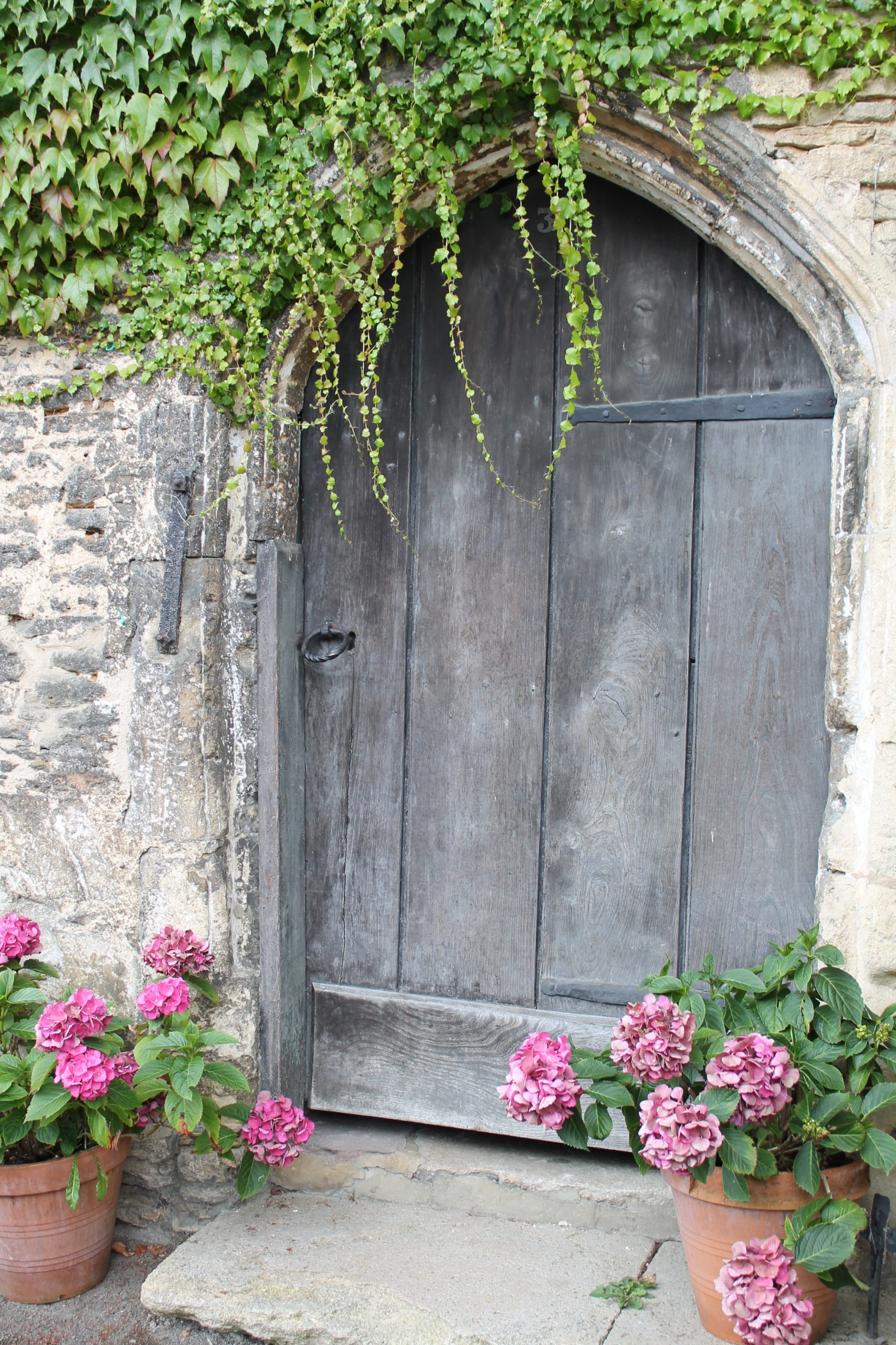 therapy for grief.  grey palladium style door with stone exterior and green vines hanging.  Also Pink geraniums on both sides of the door