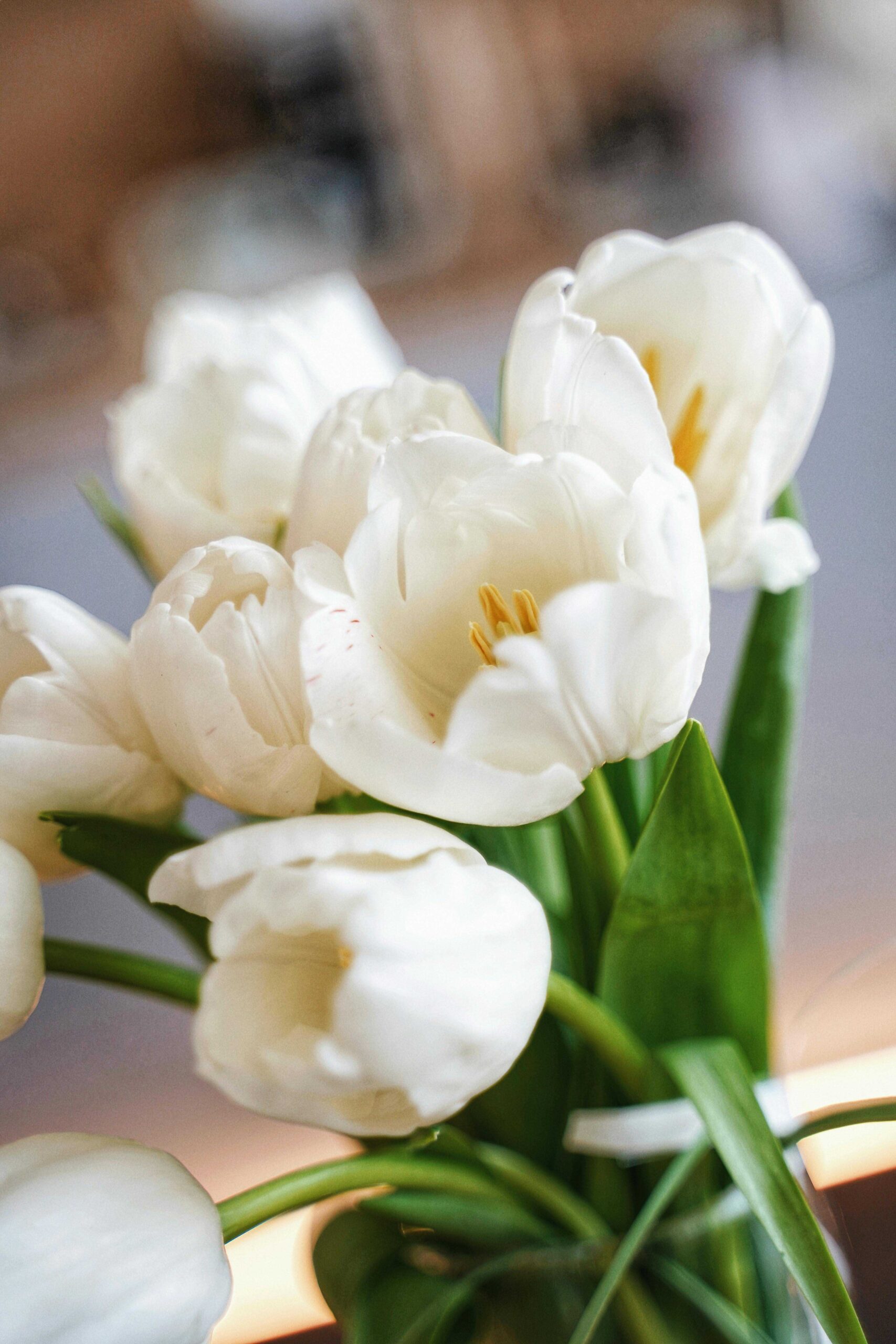 Whiterosesforweb therapy for grief. white tulips