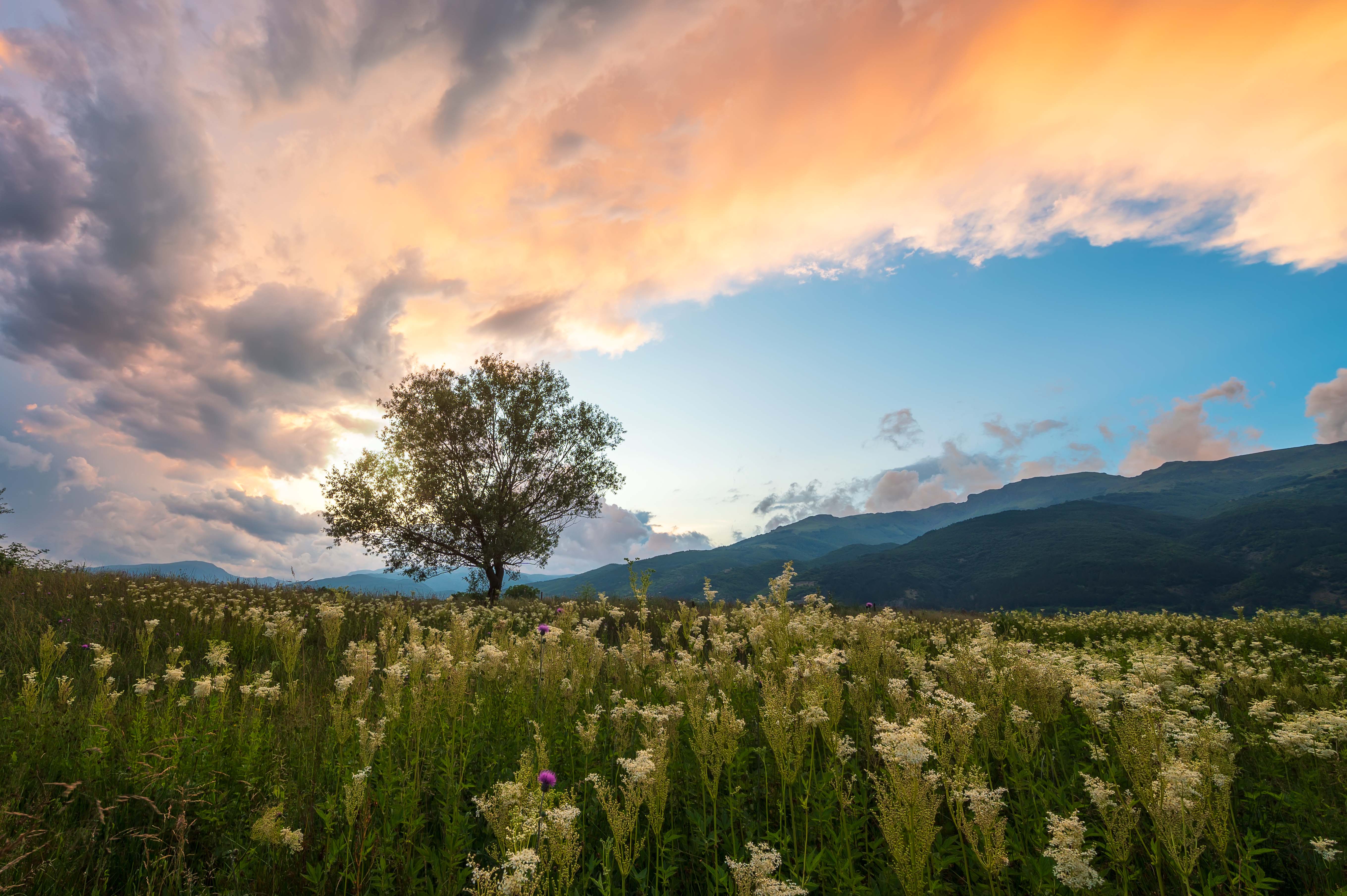 therapy in 42 US States. colorful sky and nature.